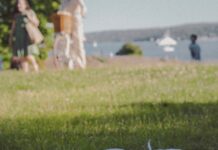 ‘헬시 플레저(Healthy Pleasure)’ 시대의 식생활 변화: 고단백·저당을 넘어 a picnic blanket with food and drinks on it