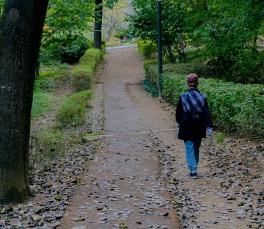 일상 속 스트레스, 작은 변화가 해답… 실천 가능한 관리법 주목 a person walking down a path in the woods