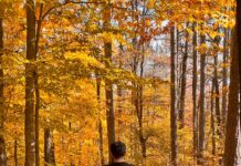 ‘걷기’가 바꾸는 나의 하루—트렌디하게 실천하는 일상 속 건강 습관 a man walking down a path in the woods