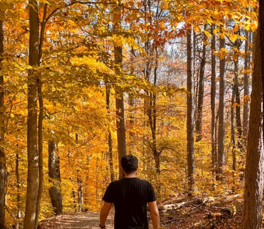 ‘마이크로 운동’ 열풍…작은 움직임이 만드는 건강한 일상 a man walking down a path in the woods